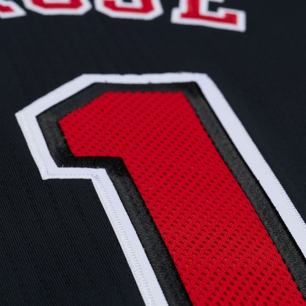 Derrick Rose Chicago Bulls 2010-11 Authentic Jersey sale Discount
