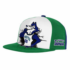 Minnesota Timberwolves Youth Mascot Snapback Hat New