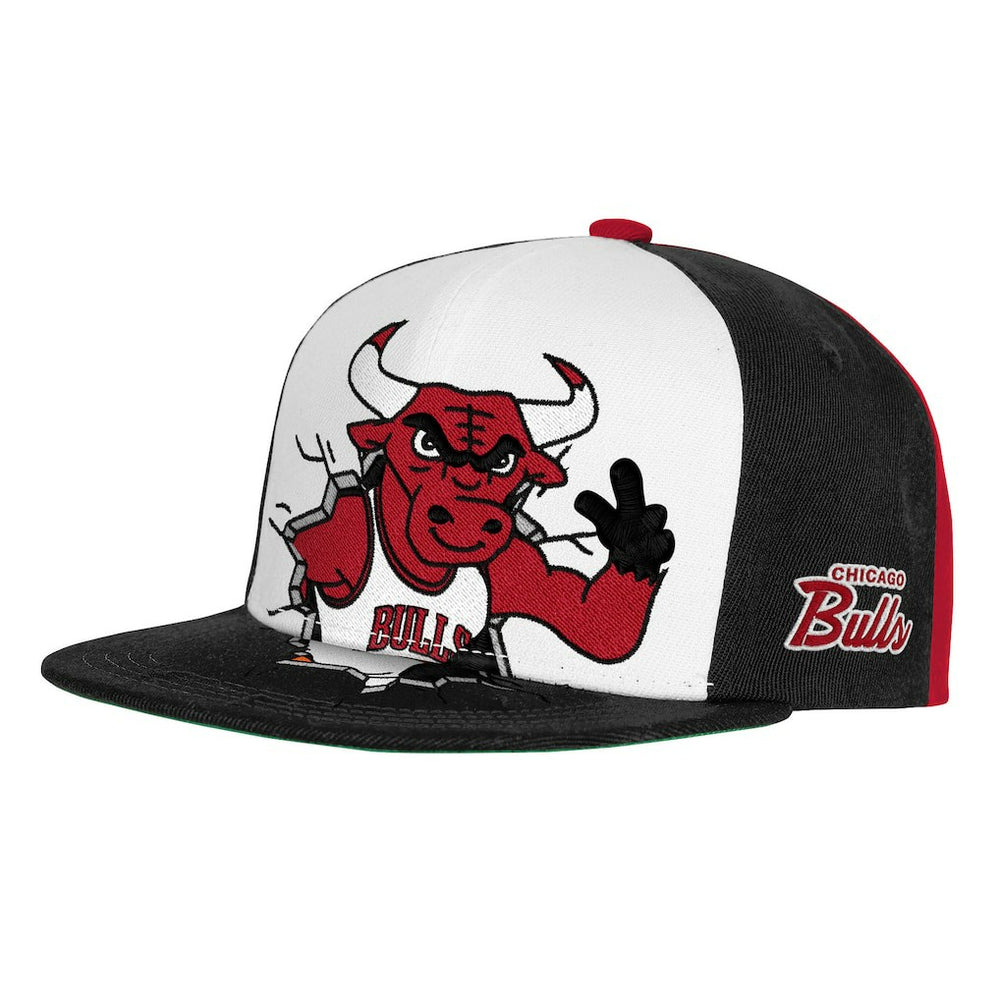 Chicago Bulls Youth Mascot Snapback Hat New