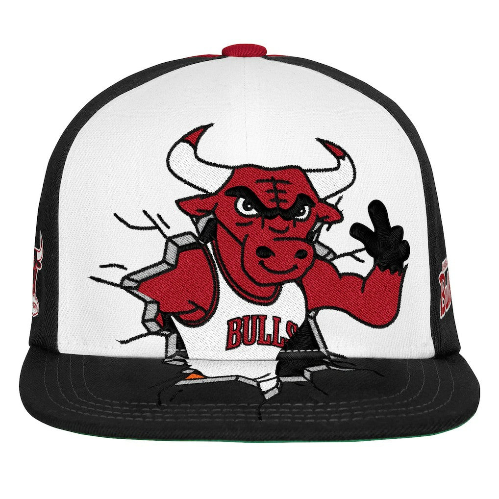 Chicago Bulls Youth Mascot Snapback Hat New