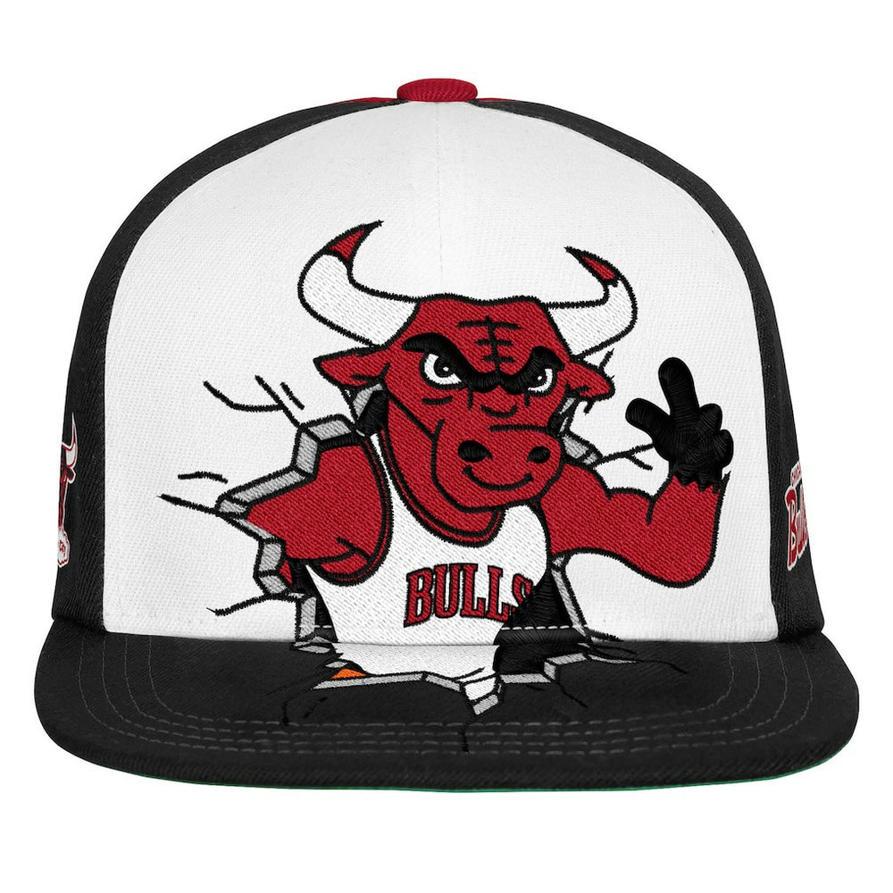Chicago Bulls Youth Mascot Snapback Hat New