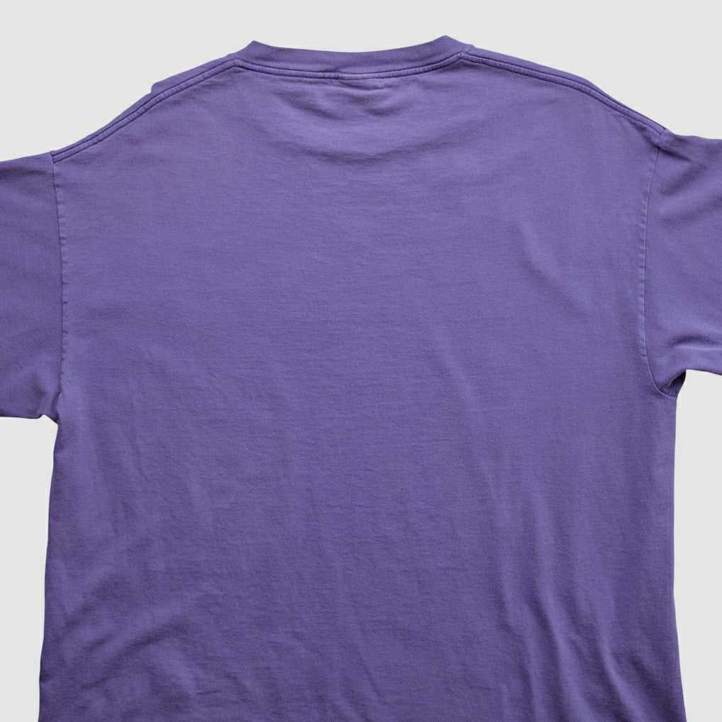 Minnesota Vikings Fanatics Lee Apparel 2000s T-shirt