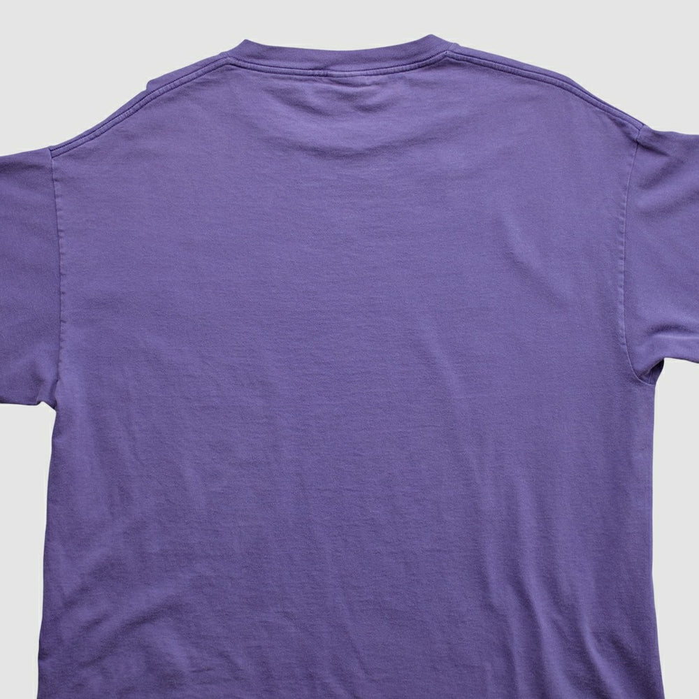 Minnesota Vikings Fanatics Lee Apparel 2000s T-shirt