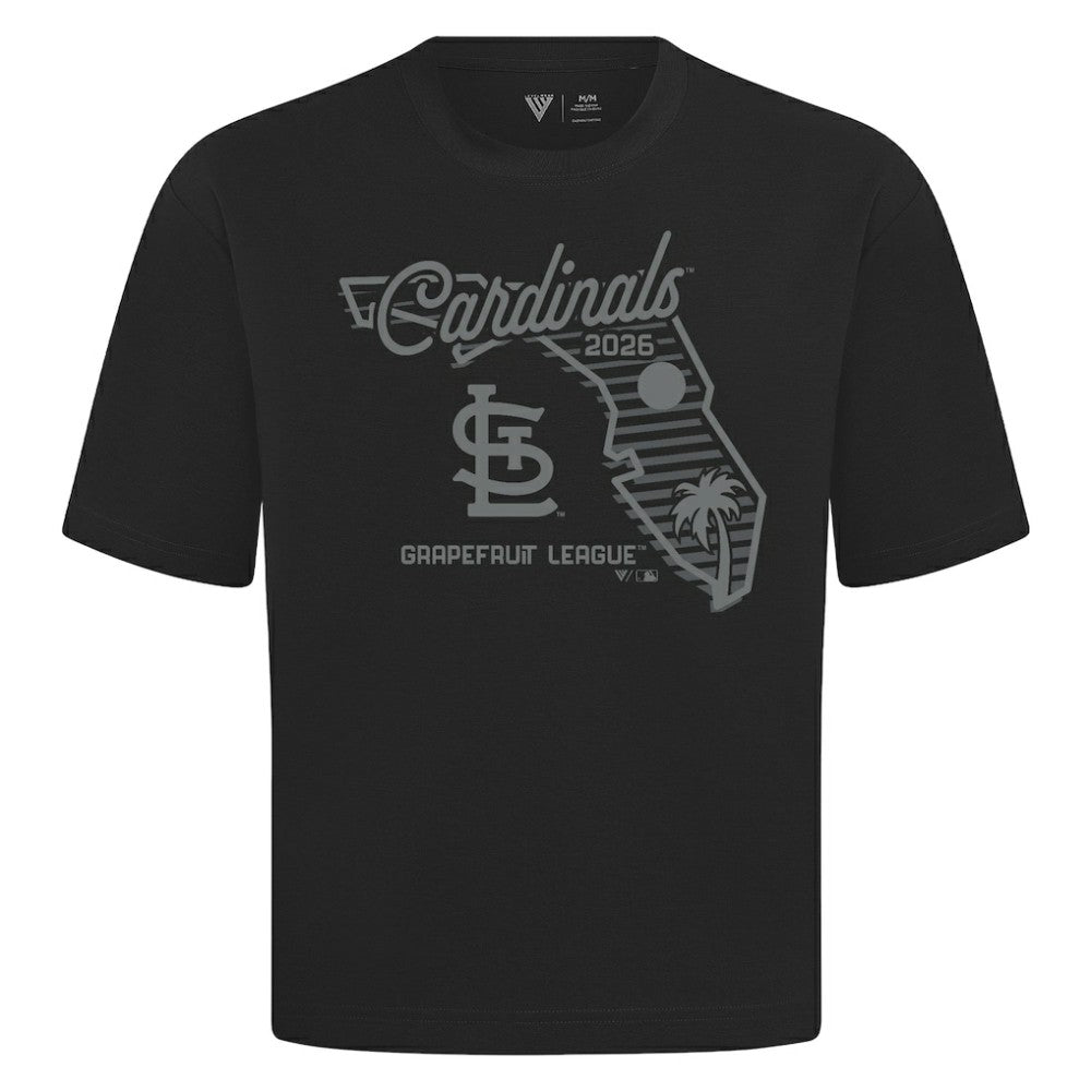 St. Louis Cardinals Levelwear Sunrise Luxe Signature Knit T-Shirt | MLB New