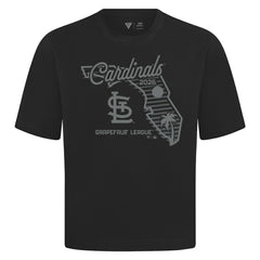 St. Louis Cardinals Levelwear Sunrise Luxe Signature Knit T-Shirt | MLB New