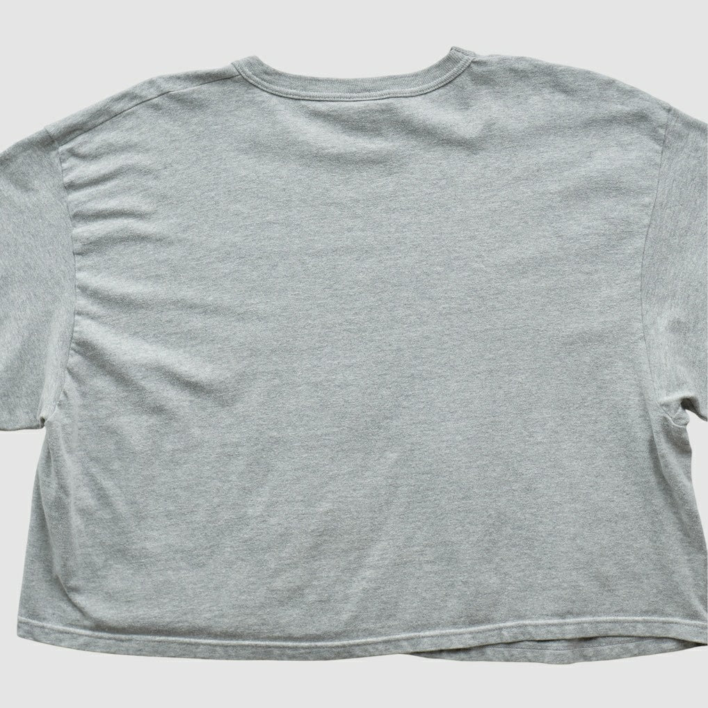 Philadelphia Eagles Fanatics Champion 2000s T-shirt