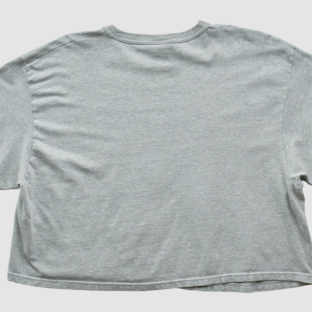 Philadelphia Eagles Fanatics Champion 2000s T-shirt