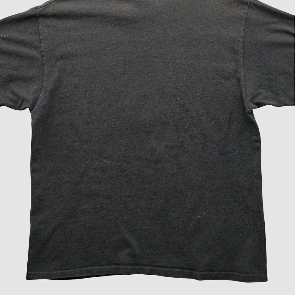 Pittsburgh Steelers Fanatics Champion 1994 T-shirt