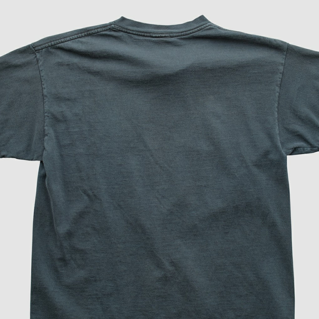 Carolina Panthers Fanatics NFL 2000s T-shirt