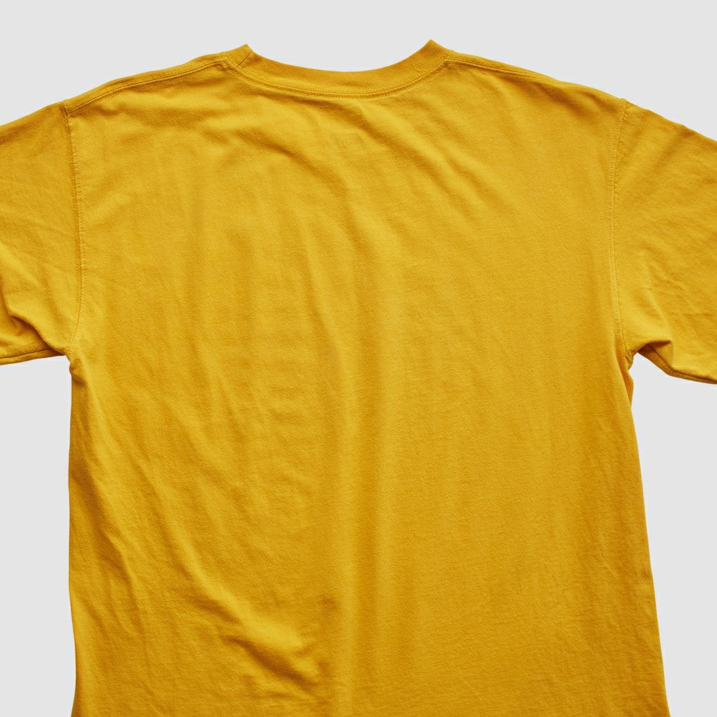 Pittsburgh Steelers Fanatics NFL 2010s T-shirt