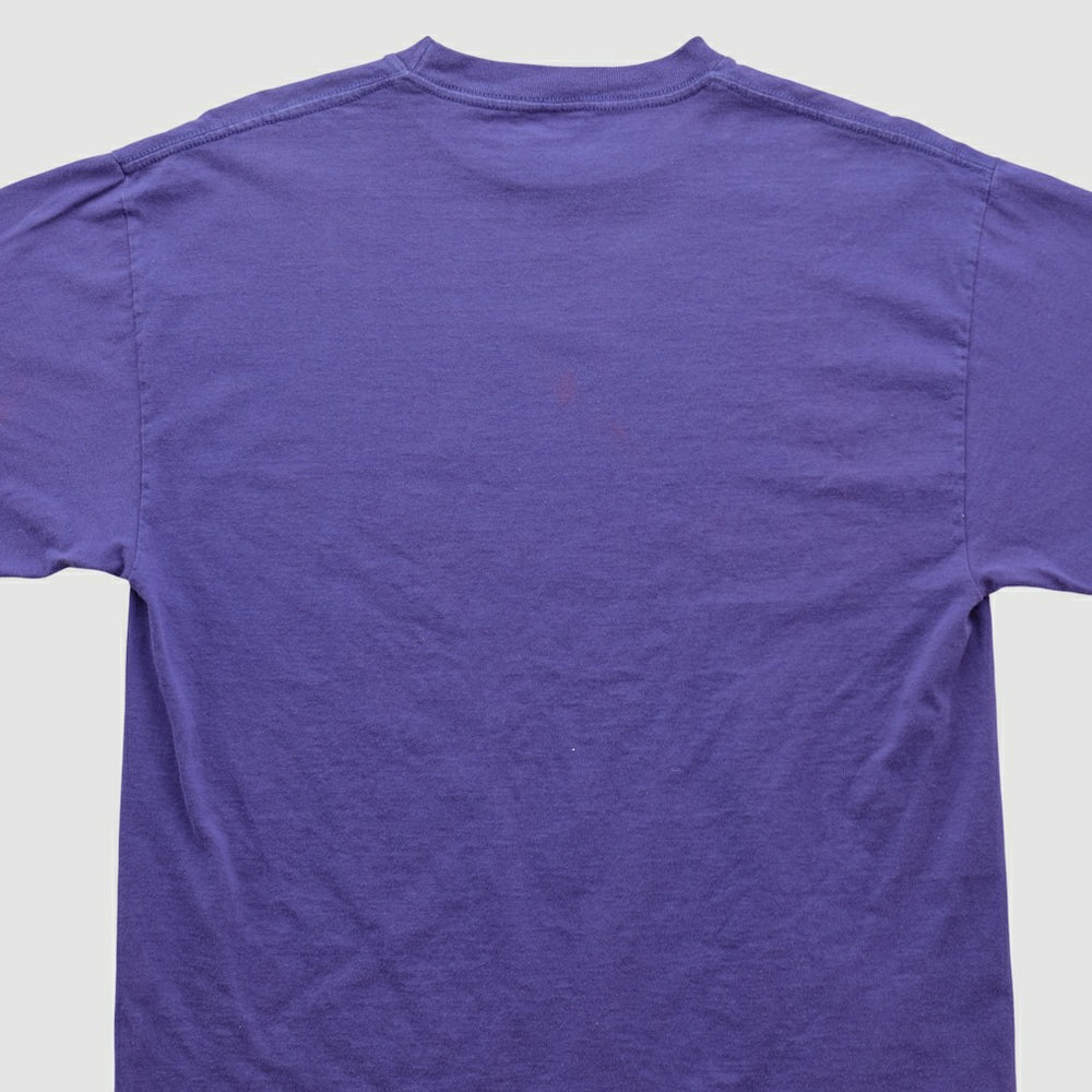 Minnesota Vikings Fanatics Tultex 90s T-shirt