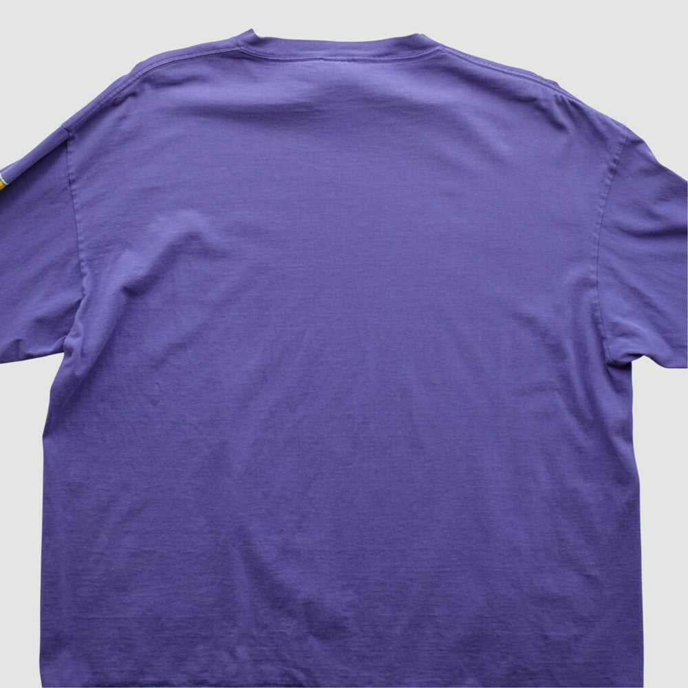 Minnesota Vikings Fanatics Logo Athletic 90s Long Sleeve T-shirt