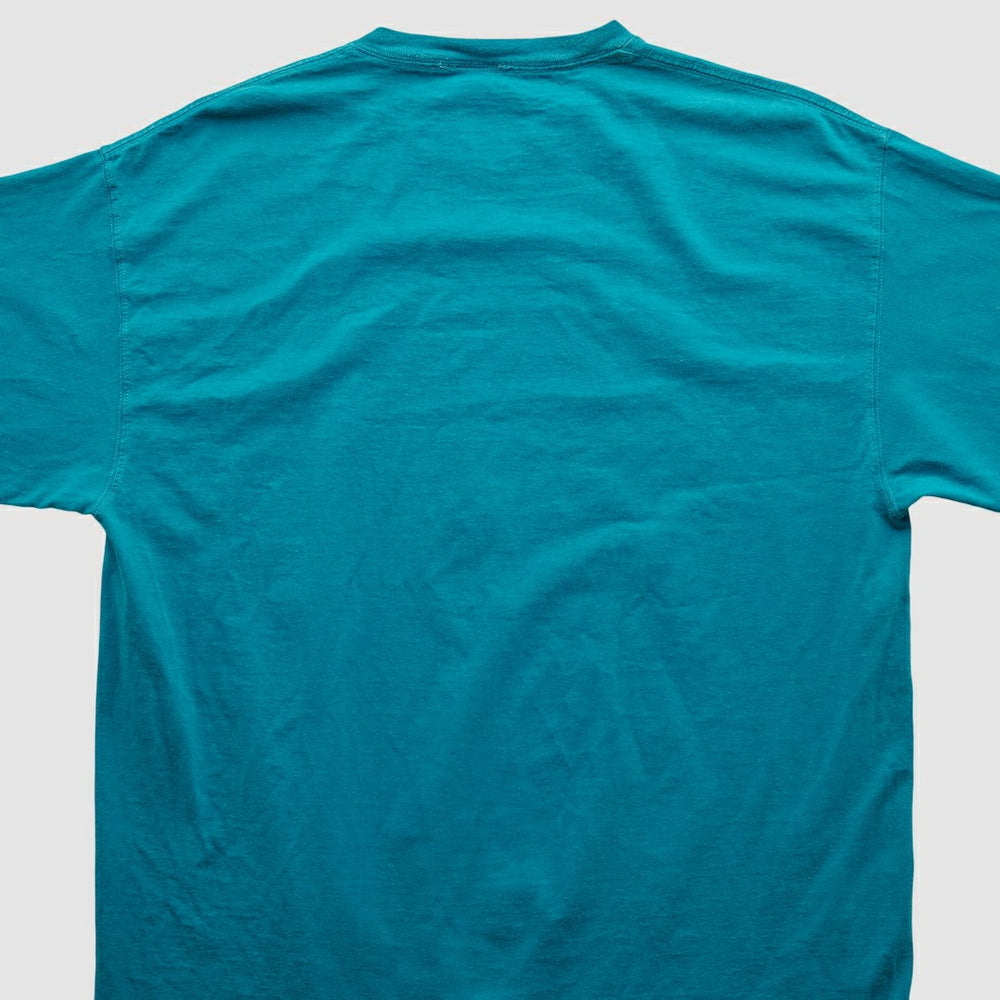 Jacksonville Jaguars Fanatics NFL 2000s T-shirt
