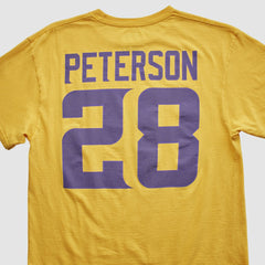 Minnesota Vikings Fanatics NFL 2000s T-shirt