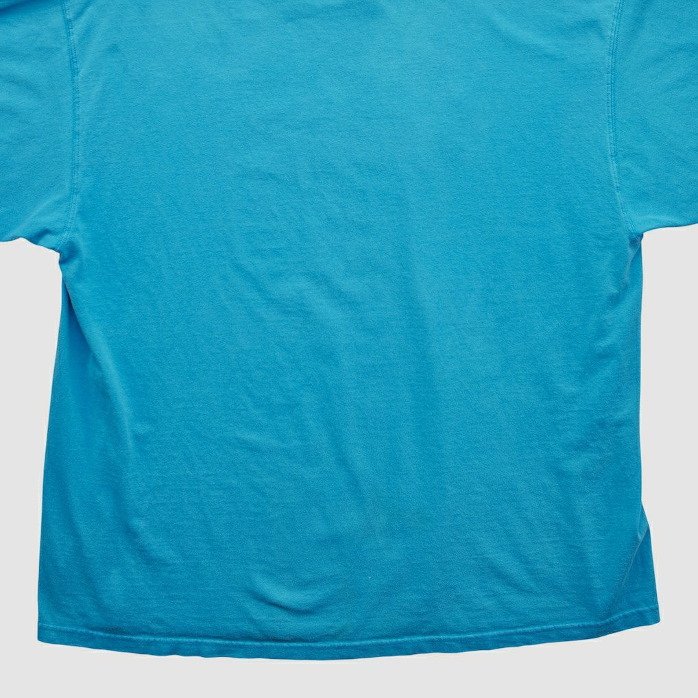 Carolina Panthers Fanatics NFL 2000s T-shirt