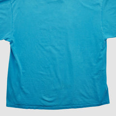 Carolina Panthers Fanatics NFL 2000s T-shirt