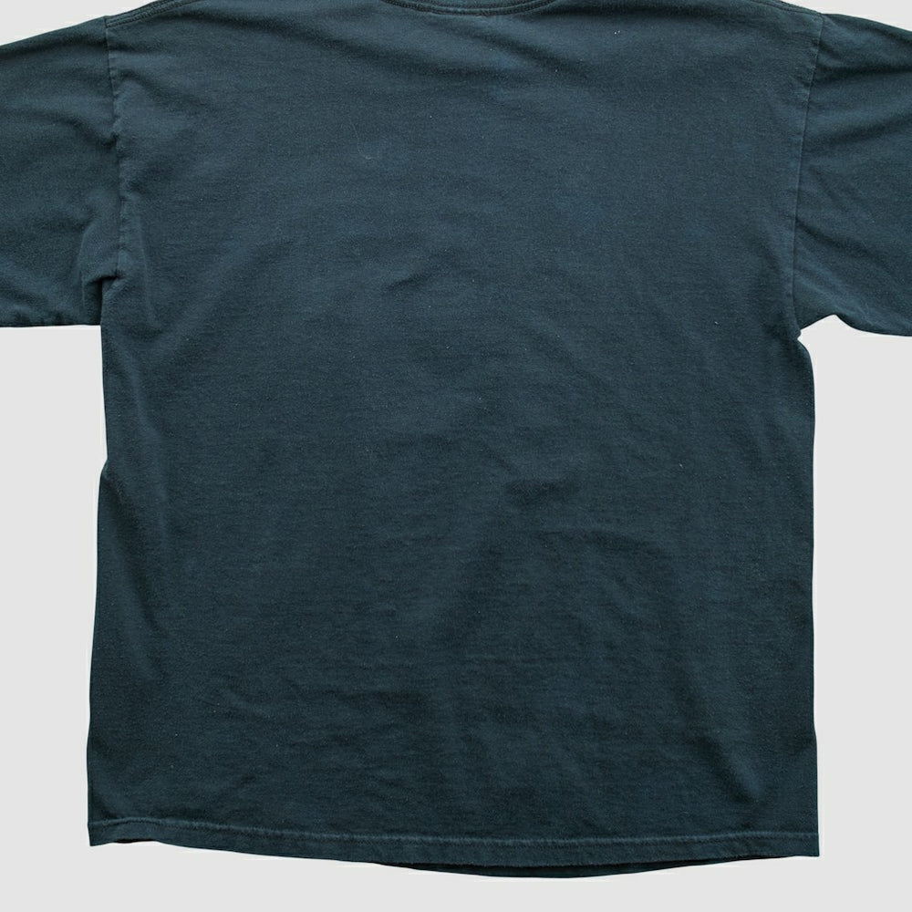 Pittsburgh Steelers Fanatics NFL 2010s T-shirt