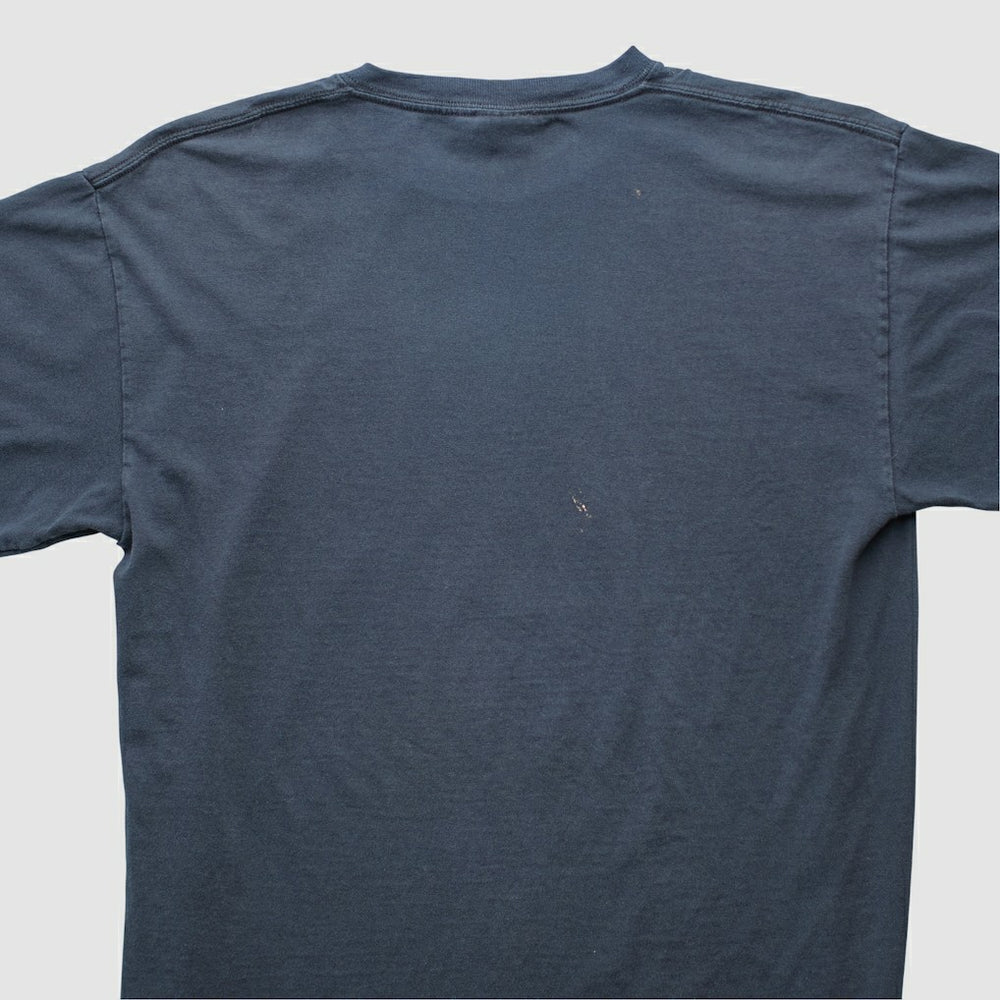 Pittsburgh Steelers Fanatics Gildan 2009 T-shirt