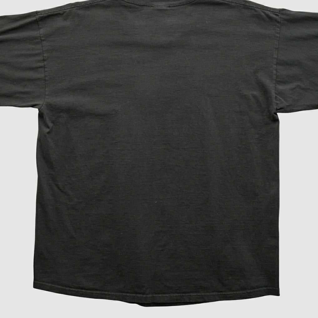 Pittsburgh Steelers Fanatics NFL 2000s Long Sleeve T-shirt