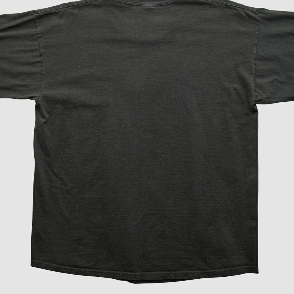 Pittsburgh Steelers Fanatics NFL 2000s Long Sleeve T-shirt