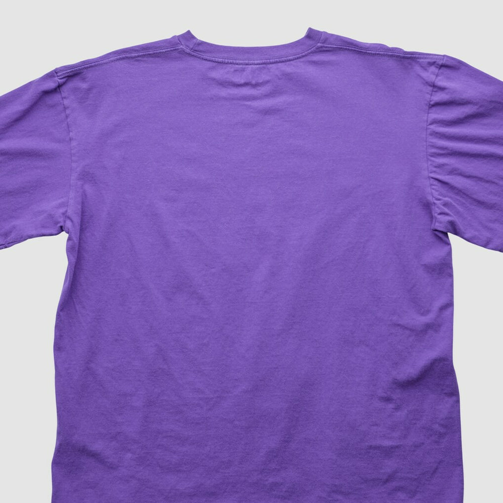 Minnesota Vikings Fanatics NFL 2000s T-shirt