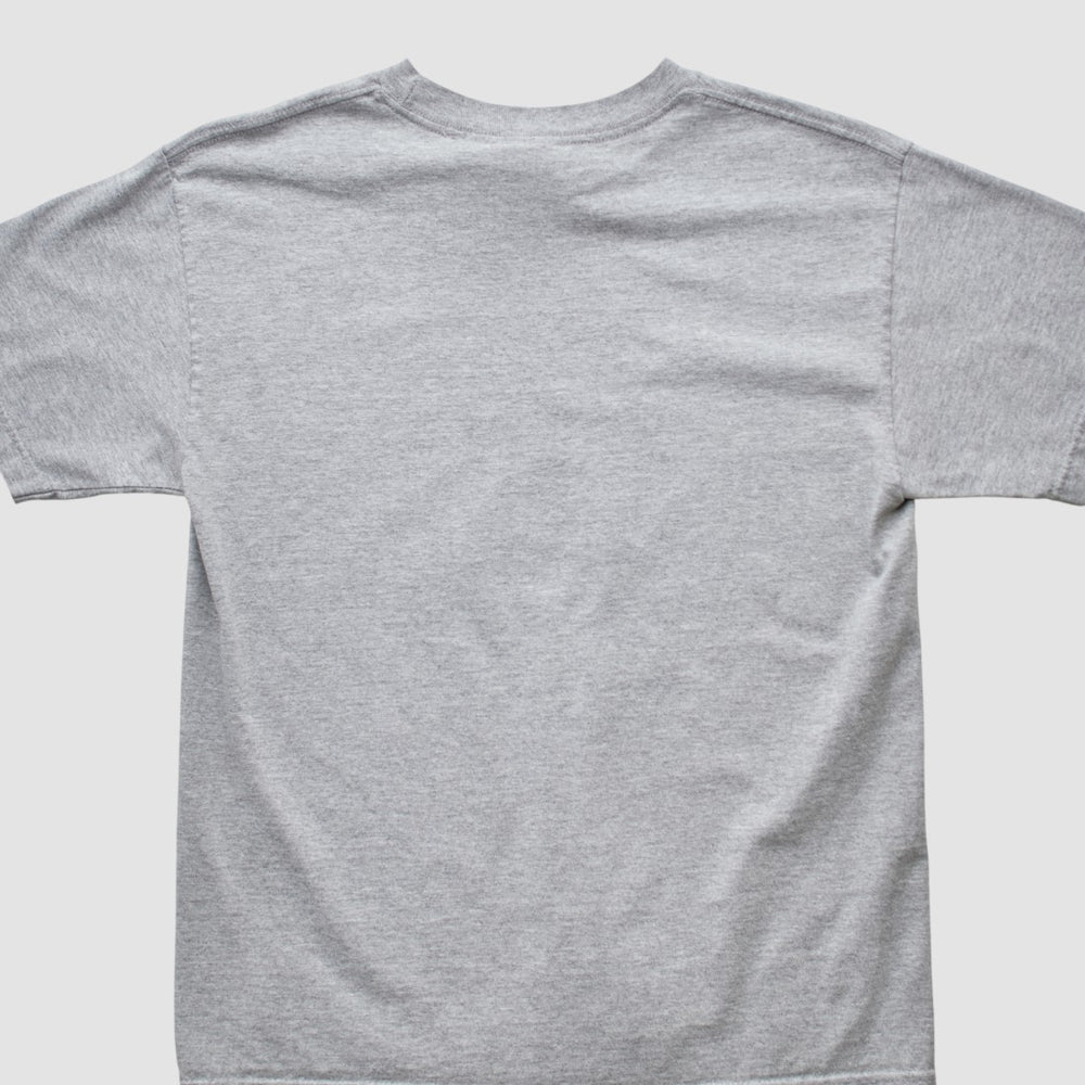 Denver Broncos Fanatics NFL 2000s T-shirt
