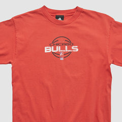 Chicago Bulls 2010s T-shirt sale Discount