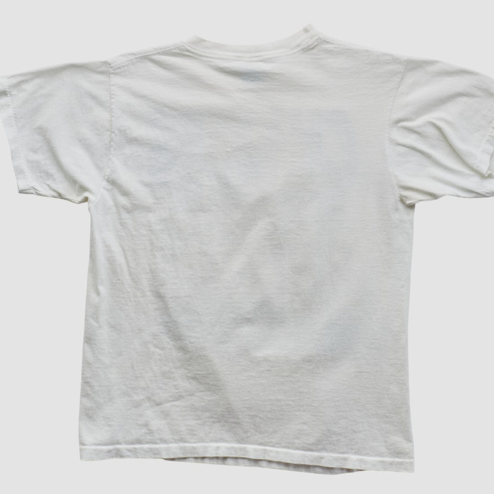Dallas Cowboys Fanatics Salem Sportswear 1993 T-shirt