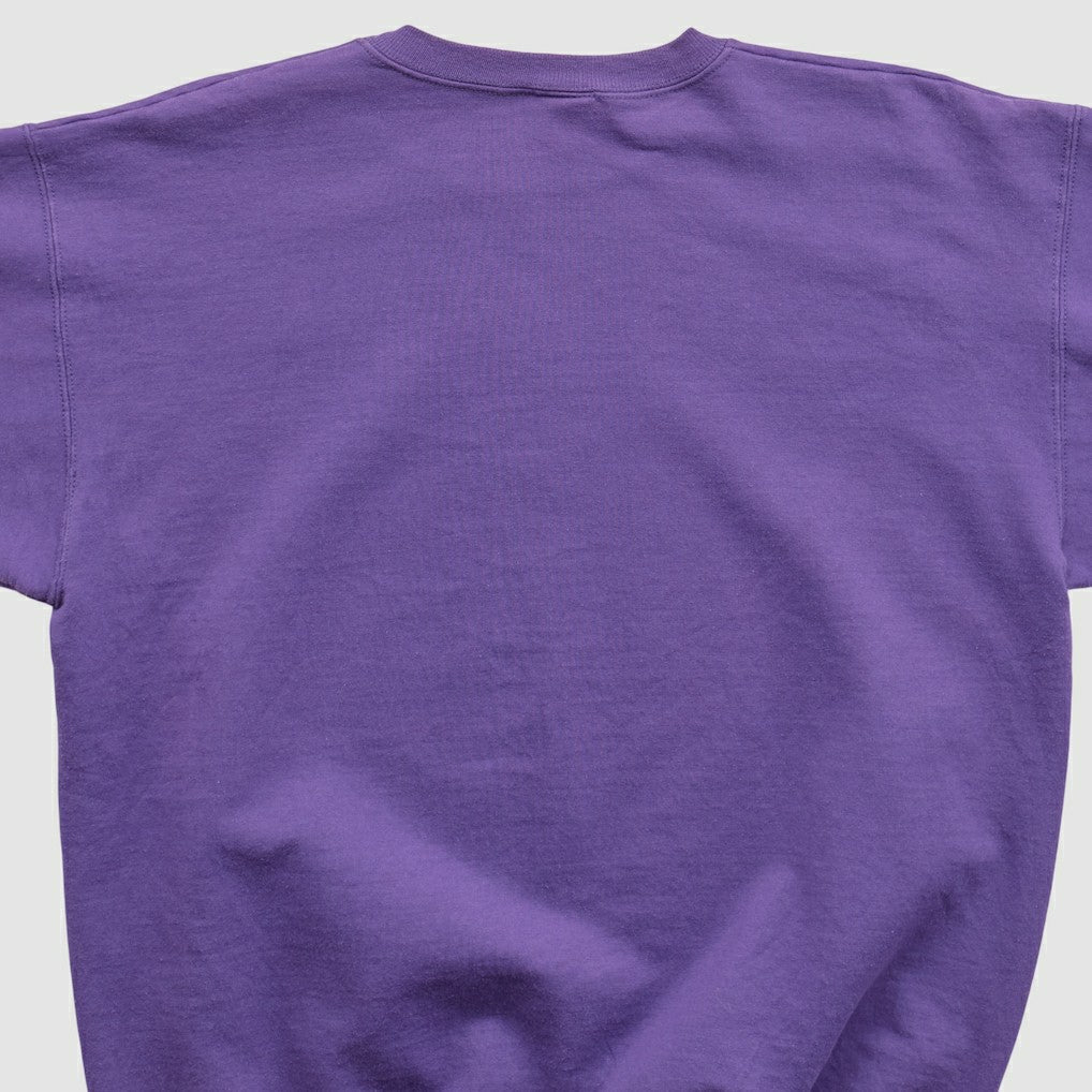 Minnesota Vikings Fanatics Champion 90s Pullover Sweatshirt