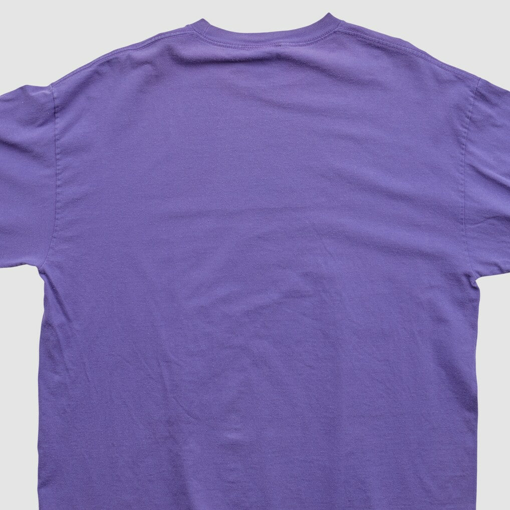 Minnesota Vikings Fanatics NFL 2010s Long Sleeve T-shirt