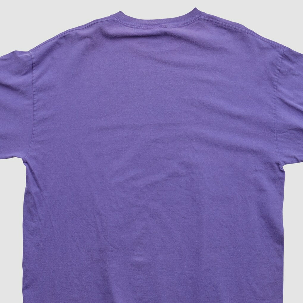 Minnesota Vikings Fanatics NFL 2010s Long Sleeve T-shirt