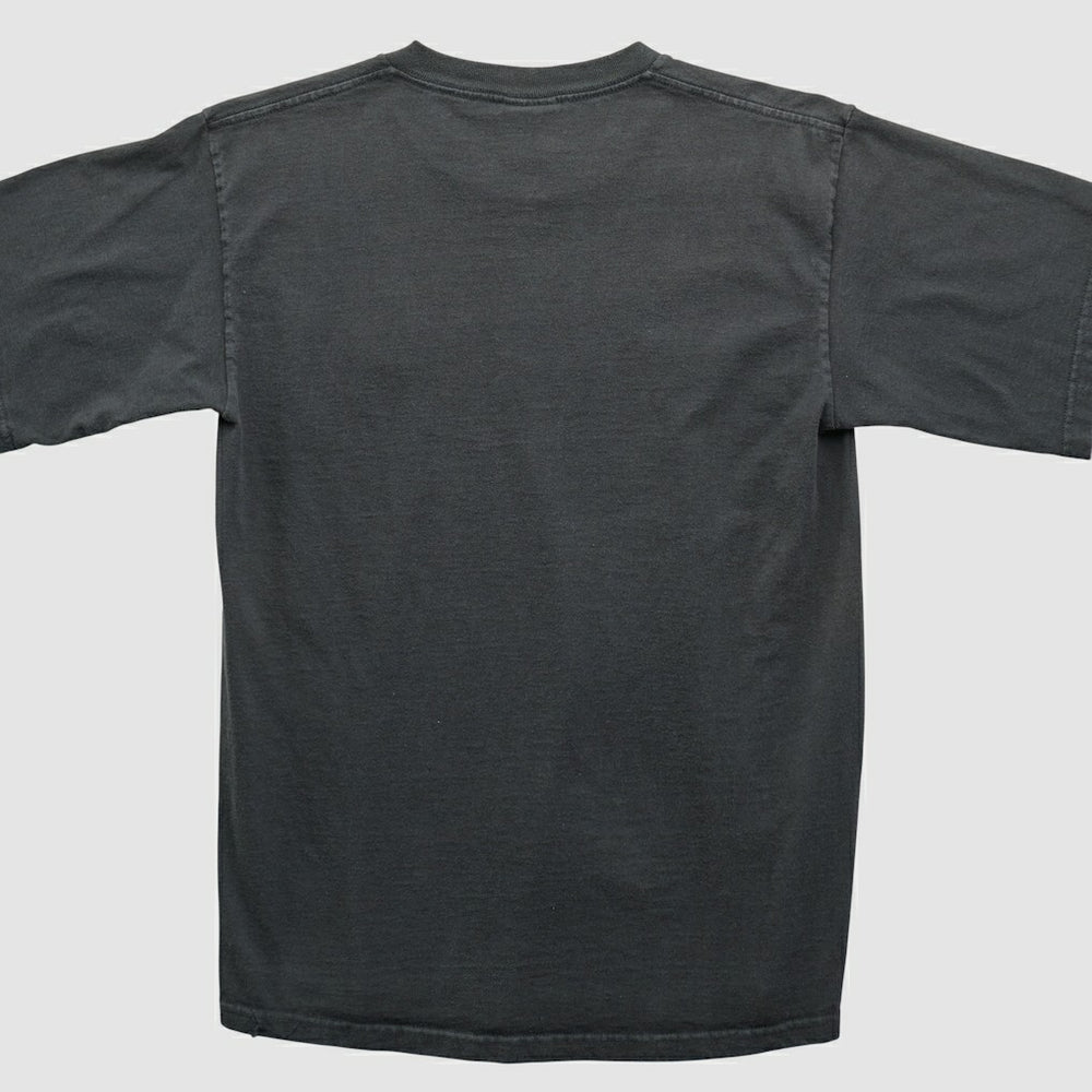 Pittsburgh Steelers Fanatics NFL 2000s T-shirt
