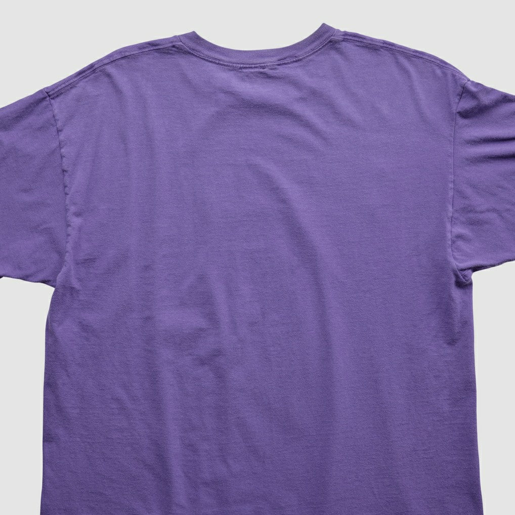 Minnesota Vikings Fanatics Majestic 2000s T-shirt