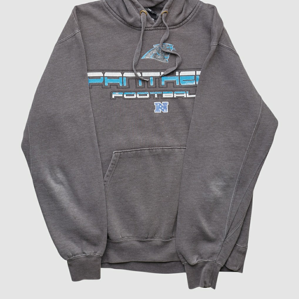Carolina Panthers Fanatics NFL 2010s Hooded Pullover Sweatshirt