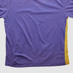Minnesota Vikings Fanatics NFL 2000s Long Sleeve T-shirt
