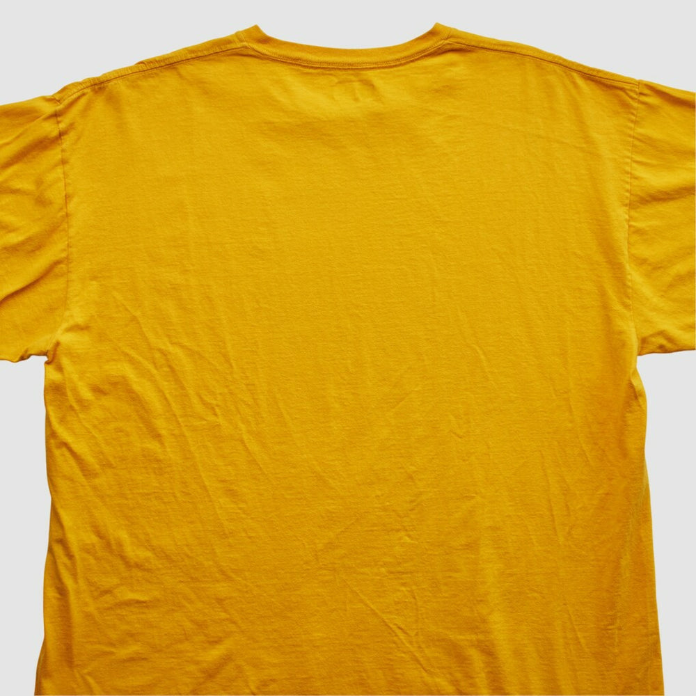 Minnesota Vikings Fanatics NFL 2000s T-shirt