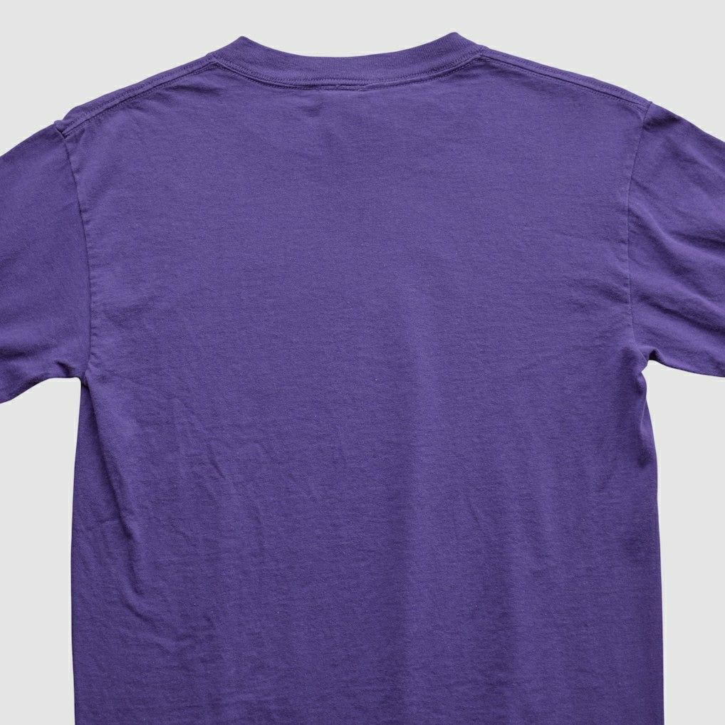 Minnesota Vikings Fanatics Adrian Peterson NFL 2000s Long Sleeve T-shirt