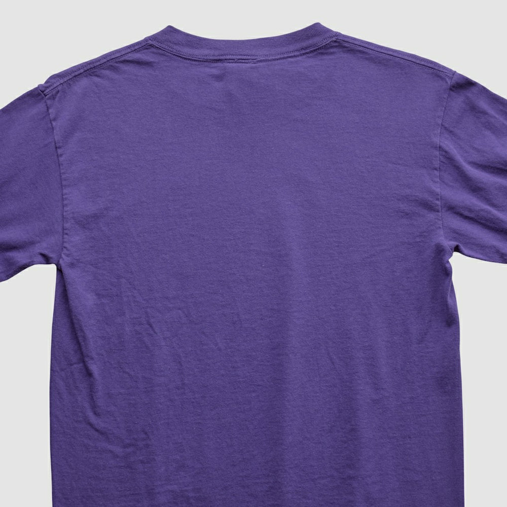 Minnesota Vikings Fanatics Adrian Peterson NFL 2000s Long Sleeve T-shirt