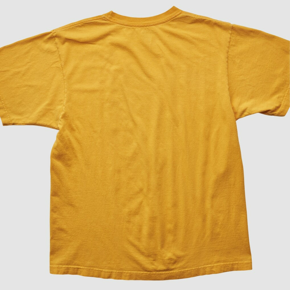 Pittsburgh Steelers Fanatics Reebok 2000s T-shirt