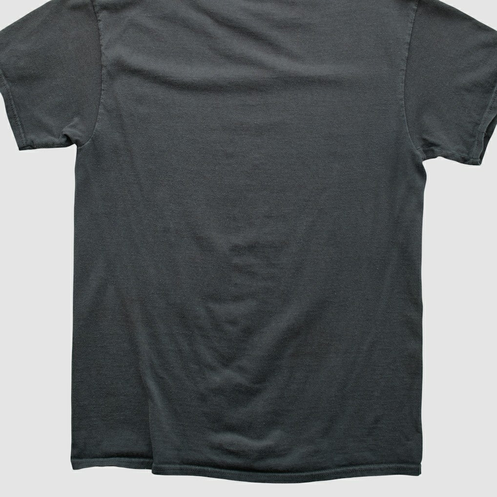 Pittsburgh Steelers Fanatics Reebok 2000s T-shirt
