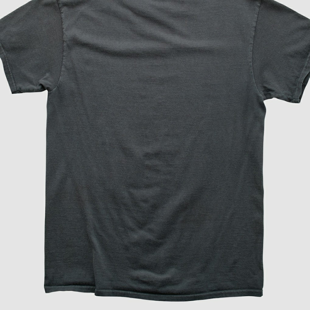 Pittsburgh Steelers Fanatics Reebok 2000s T-shirt