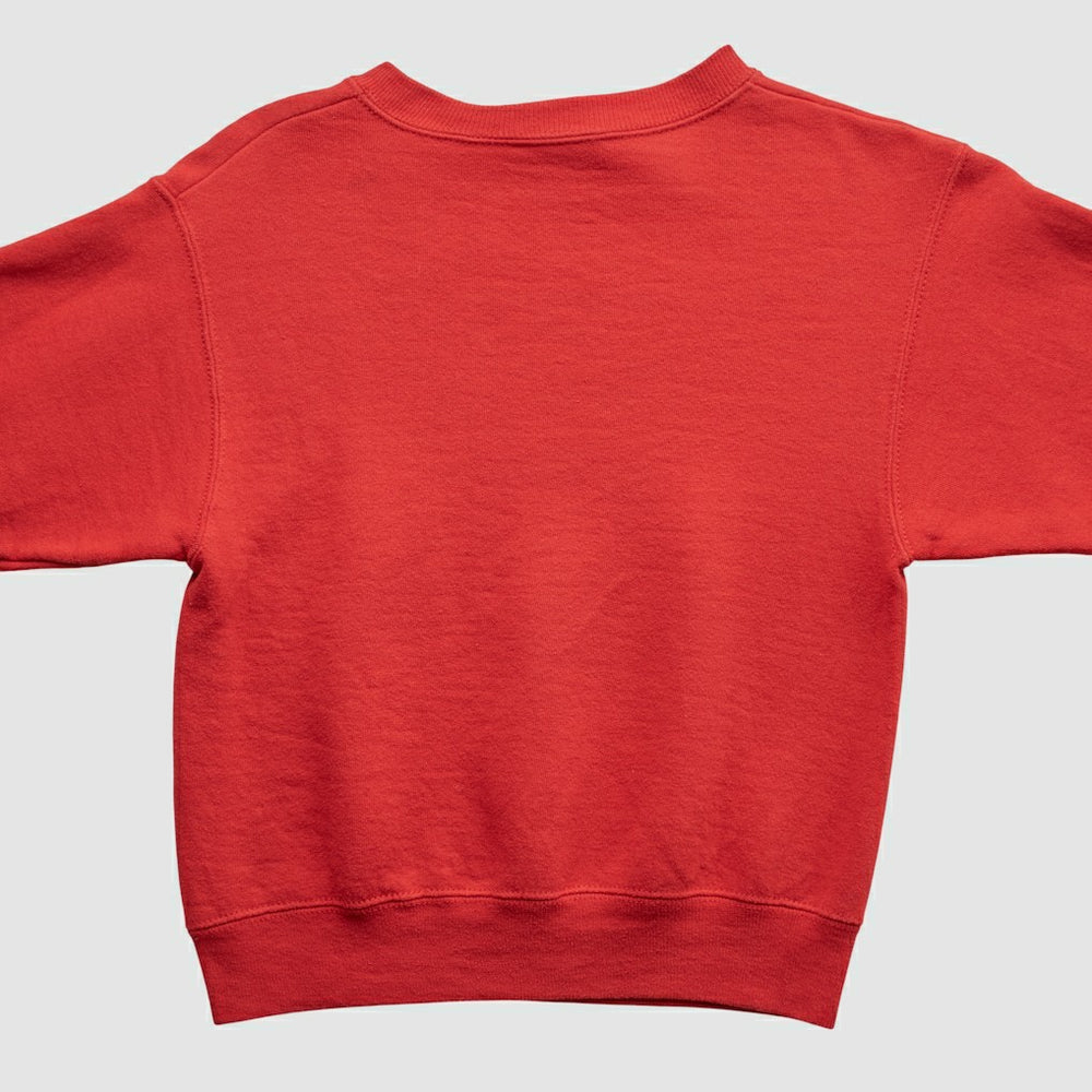 Chicago Bulls Lee Apparel 90s Pullover Sweatshirt On Sale