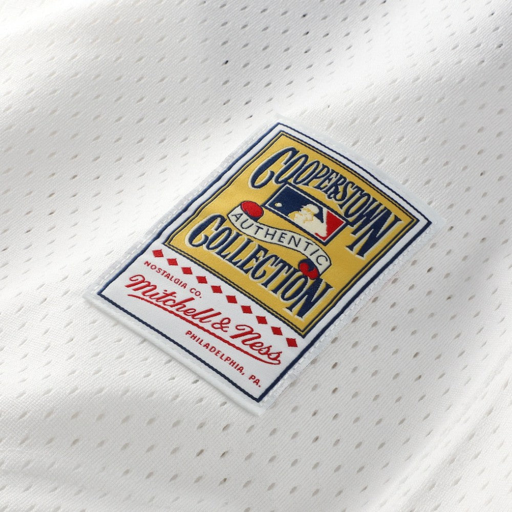 Carlton Fisk Chicago White Sox Mitchell & Ness Authentic Batting Practice Jersey | MLB For sale