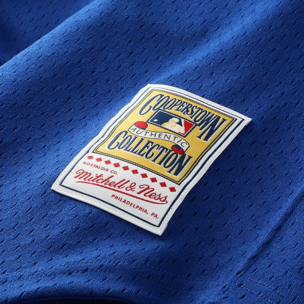 Ken Griffey Jr. Seattle Mariners Mitchell & Ness Authentic Batting Practice Jersey | MLB On Sale