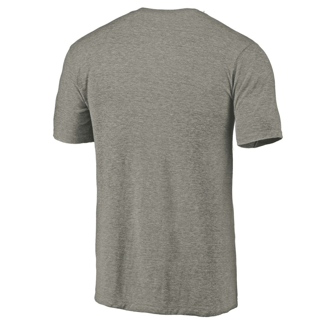 Detroit Lions  Distressed Team T-Shirt