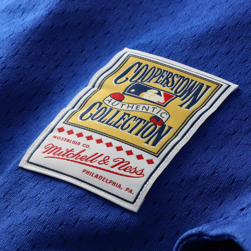 Mike Piazza Los Angeles Dodgers Mitchell & Ness Cooperstown Collection Mesh Batting Practice Button-Up Jersey | MLB Shop