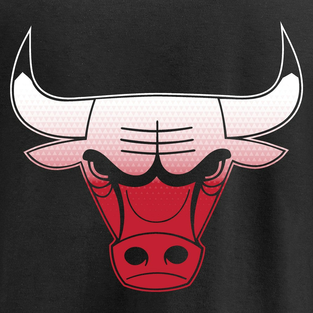 Chicago Bulls Gradient Logo T-Shirt sale Discount