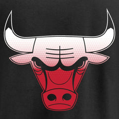 Chicago Bulls Gradient Logo T-Shirt sale Discount