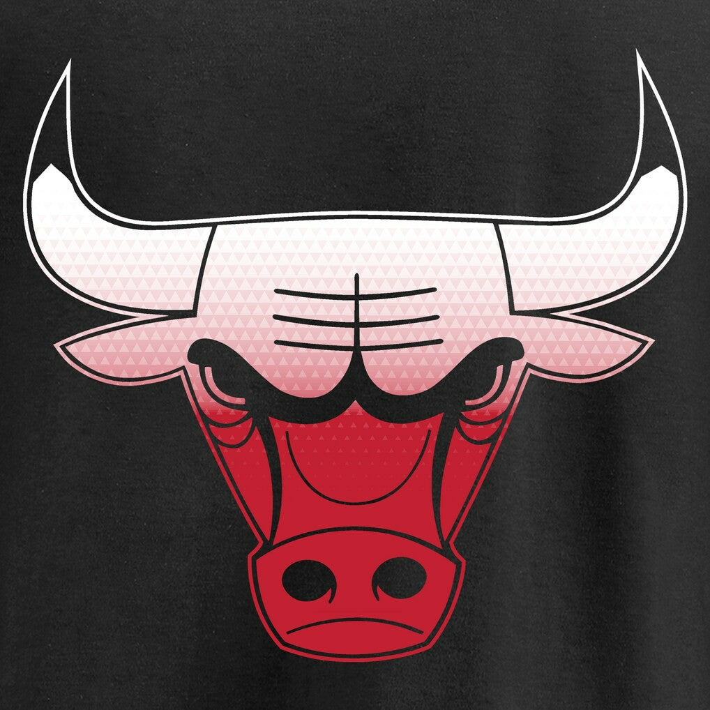 Chicago Bulls Gradient Logo Pullover Hoodie On Sale
