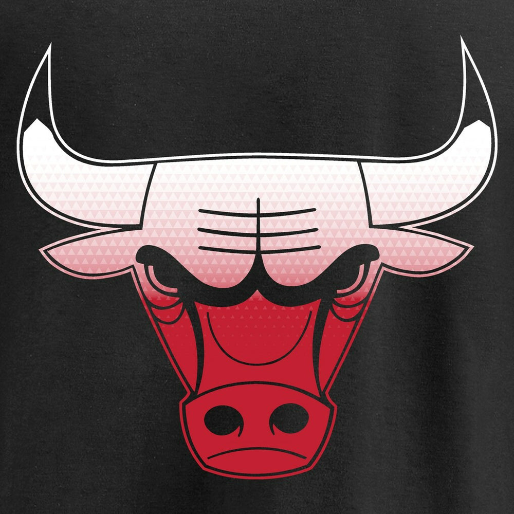 Chicago Bulls Gradient Logo Pullover Hoodie On Sale